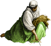 Cnhnet